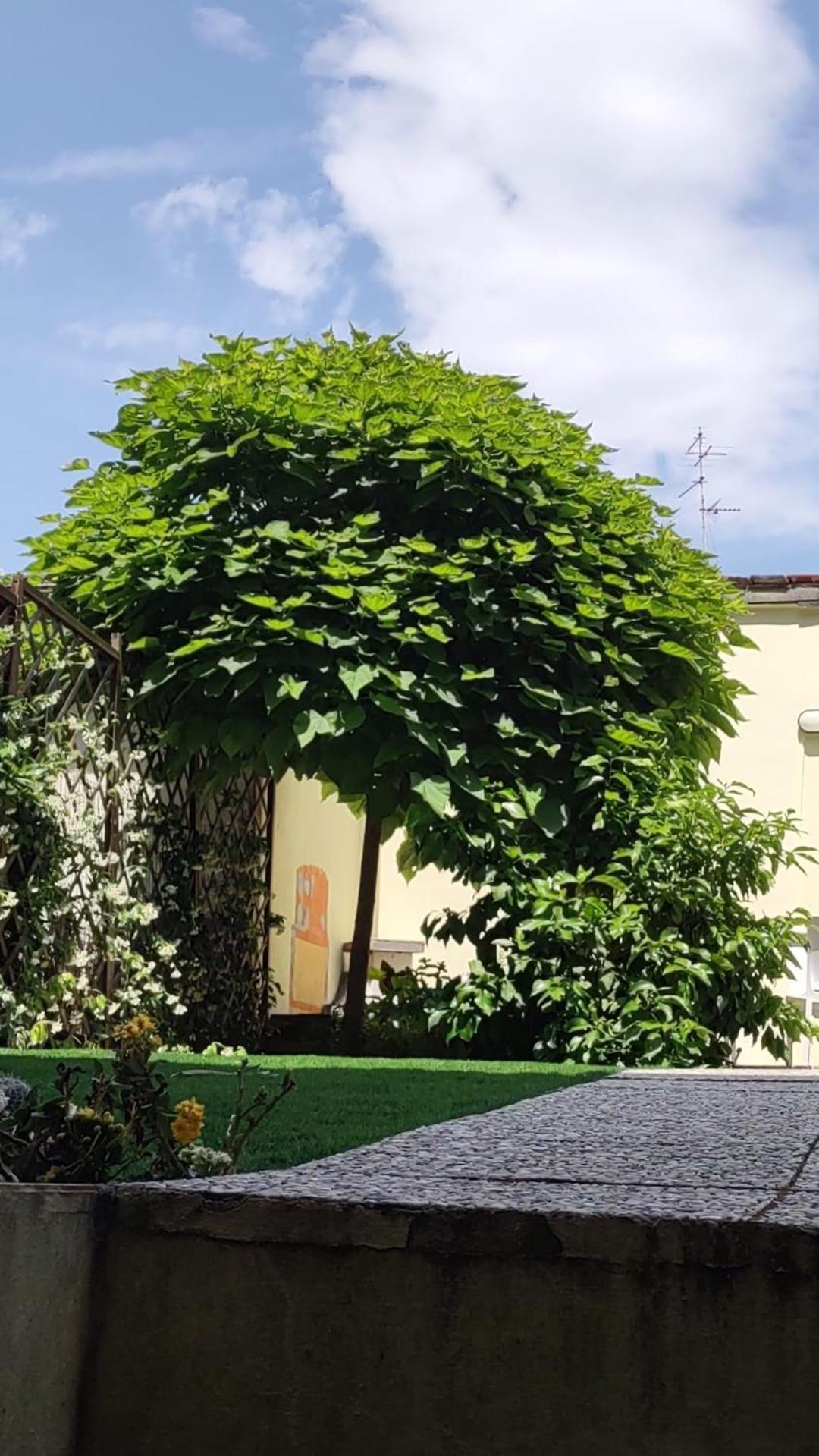 Movie Star Apartment With Garden Florence Luaran gambar